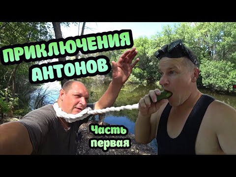 Видео: Приключения АНТОНОВ / Атака ПИЯВОК / Нашли БОЛВАНКУ