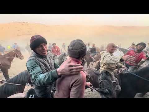 Видео: 2 ноября 2025 г.