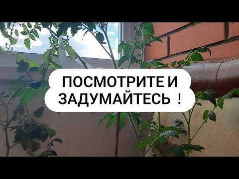Видео: Микроэлементы плодородие почвы Урожай урожайность