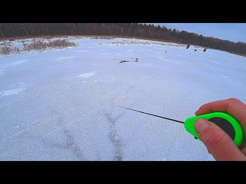 Видео: ТУТ ЖИВУТ РЕАЛЬНЫЕ МОНСТРЫ которые РВУТ ЛЕСКУ! Зимняя рыбалка 2022 2023! Ротан под КИЛОГРАММ пойман!