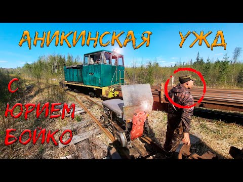Видео: В ЛЕС по РАЗОБРАННОЙ Аникинской узкоколейке вместе с Юрием Бойко