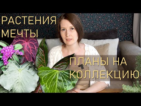 Видео: Мой список желаний + Планы на коллекцию!