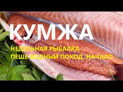 Видео: КУМЖА | Идём старым маршрутом. Рыбалка 2023