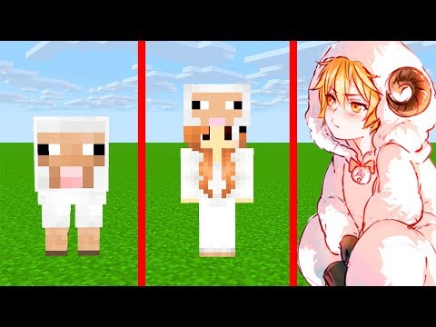 Видео: КАК МЕНЯЛАСЬ ДЕВУШКА ОВЕЧКА И ЕГО ЖИЗНЕННЫЙ ЦИКЛ ОВЕЧКА В МАЙНКРАФТ ЭВОЛЮЦИЯ И ТРОЛЛИНГ