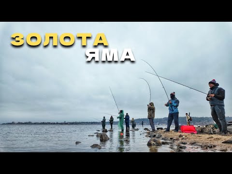 Видео: ТУТ ЛОВЛЯТЬ ВСІ‼️ ШАРПАЧІ ДЕРУТЬ ПО ЧОРНОМУ‼️ Рибалка на Хижака весною 2025!