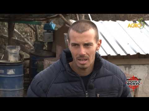 Видео: Земеделие на фокус: Матея от Копривщица – за овцевъдството с любов, автор Анета Божидарова