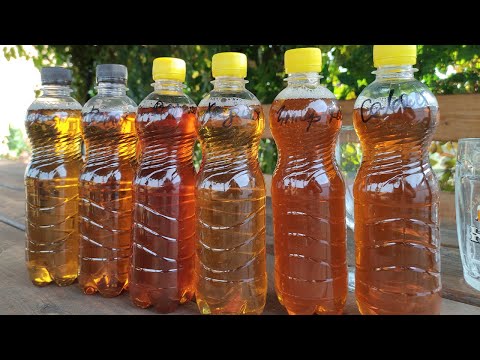 Видео: Разливное пиво 2025 \ Пиво из разливайки \ Хадыженское, Эфес, Севастопольское, Канцлер, Дед Жигуль