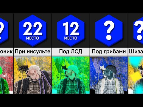 Видео: Как Видит Мир Человек в Разных Состояниях?