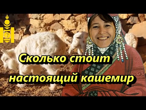 Видео: Сколько стоит? Кашемир в Монголии! How much is cashmere?