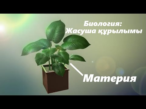Видео: Жасуша құрылымы | Zeretron