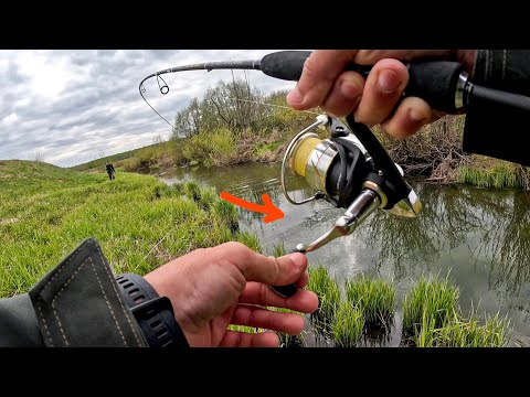 Видео: Я ОБАЛДЕЛ как РЫБА начала КЛЕВАТЬ, когда ПОСТАВИЛ воблер. Рыбалка на спиннинг на реке 2024