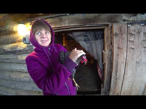 Видео: КАК ПОЖИВАЮТ НАШИ ПОРОСЯТА,  КУРОЧКИ, ЧТО ТВОРИТСЯ В ОГОРОДЕ.  ИЗ ГОРОДА В ДЕРЕВНЮ 505 серия