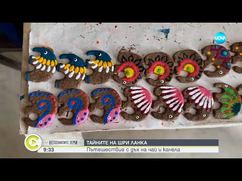 Видео: „Непознатите земи“: Тайните на Шри Ланка - Събуди се...(05.01.2025)