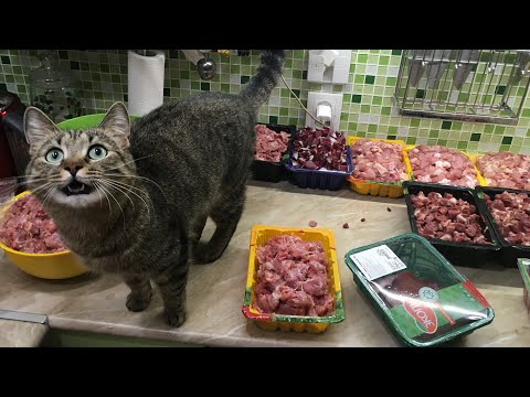 Видео: Закупка мяса кошкам, готовим мясные миксы. Натуральное питание кошек. 😻🐾