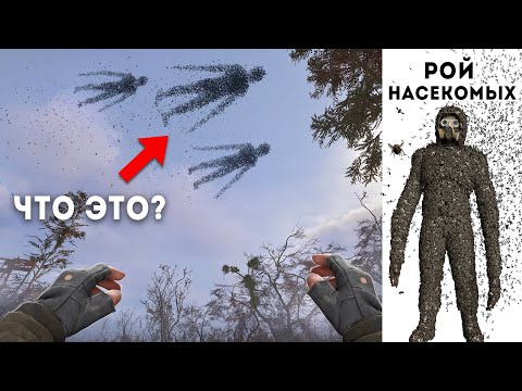 Видео: STALKER 2 - 6 Секретных МУТАНТОВ