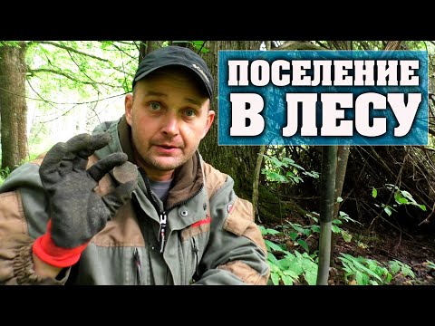 Видео: Что скрывает лес? Забытое поселение царских времён.