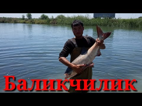 Видео: Мана сизга БАЛИКЧИЛИК сирларива маслахатлар.