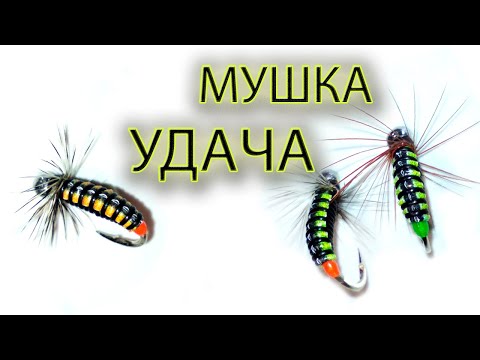 Видео: Обмен Опытом. Мушка "Удача". Отличный результат по Хариусу!