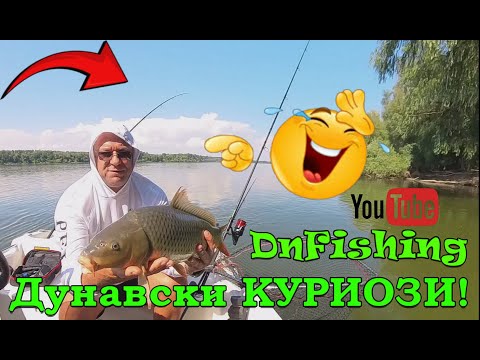 Видео: СМЕШНИЯТ РИБОЛОВ ! Диви шарани на р. Дунав ! Danube carp fishing !!!