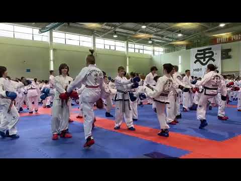 Видео: Московский Городской Семинар по Тхэквондо МФТ. Техника Ударов Ногами Таеквондо Taekwondo ITF