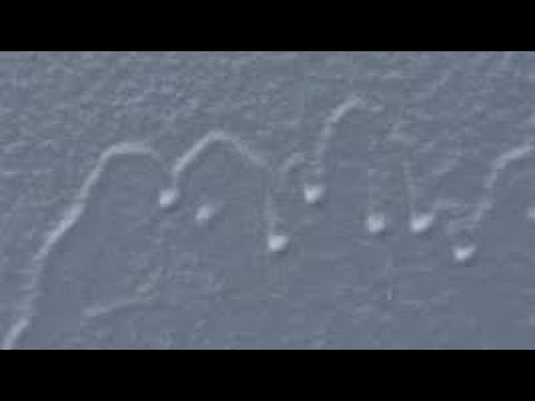 Видео: Самый лёгкий способ устранить подтёк на лаке или на акриловой краске#ремонт_кузова
