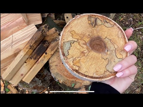 Видео: Озёра между Екатеринбургом  и Челябинском. Лес и Озеро Сунгуль