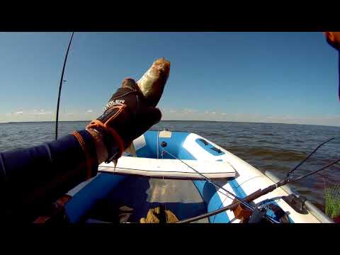 Видео: 2 дня дикарем на Рыбинском водохранилище