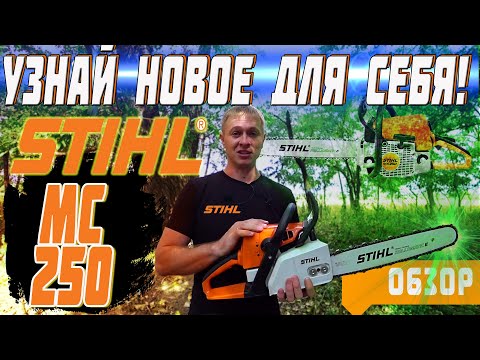 Видео: ОБЗОР БЕНЗОПИЛЫ ШТИЛЬ МС 250! Каждый узнает что-то новое для себя!