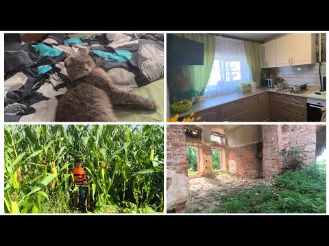 Видео: Несколько дней в деревне. 