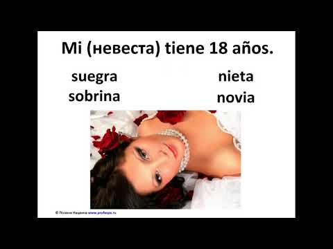 Видео: Испанский язык. Урок "Семья. Числа". Часть 2