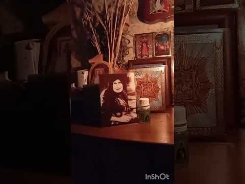 Видео: Акафист Блаженной Алипии Голосевской. Живое чтение 📖