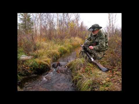 Видео: СЛАЙДЫ с комментариями.  2020.  Кольский полуостров.