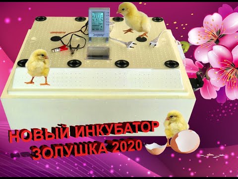 Видео: Инкубатор Золушка 2020 на 70 яиц