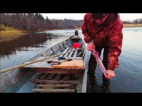 Видео: ДЕЛАЮ МЯСО ИЗ КРЫСЫ / ОНДАТРУ МОЖНО ЕСТЬ. ПРИГОТОВЛЕНИЕ ОНДАТРЫ.