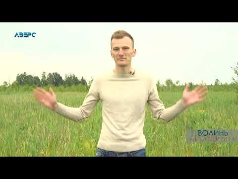 Видео: Волинь дивовижна - Черемський заповідник