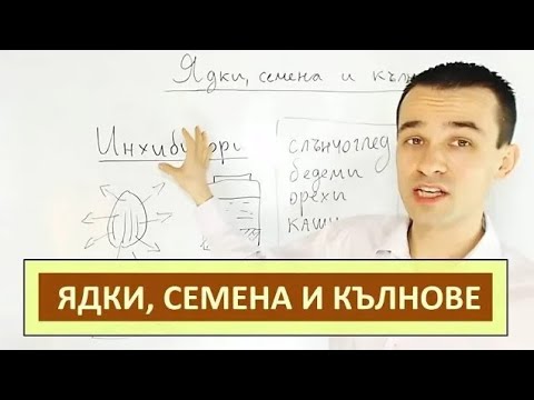Видео: Ядки, Семена и Кълнове!!! - Защо се накисват ядките