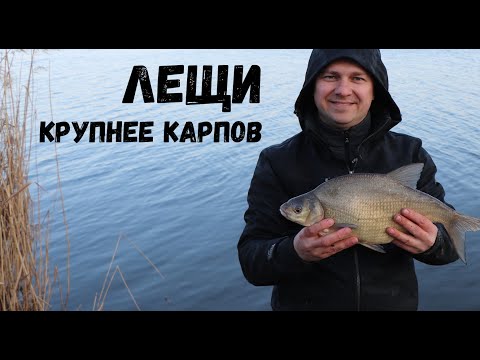 Видео: Сегодня Лещи были крупнее чем Карпы. Фидерная рыбалка в марте на водохранилище.