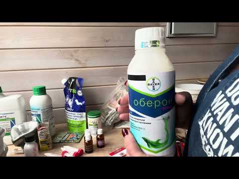 Видео: Препараты от клеща. Чем работаю, что смешиваю.