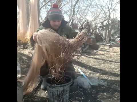 Видео: Красим сети для рыбалки.