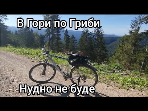 Видео: Розмаїття Грибів та Вражень.Гірська-Вело подорож знайшов купу грибів та ягоди Брусниці!!!