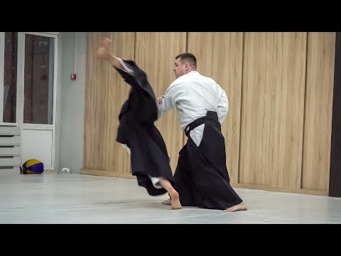 Видео: Айкидо, толчки и захваты двумя руками.