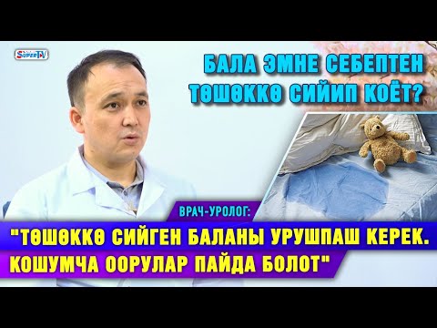 Видео: “Төшөккө сийген бала койдун майы менен дарыланбайт” I Врач-уролог
