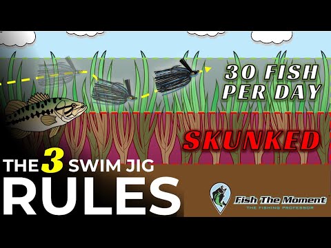 Видео: 20 лет ловли на джиг-приманку научили меня этому…