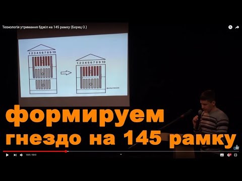 Видео: Технология разведения пчел на 145 рамку (Борец О.)