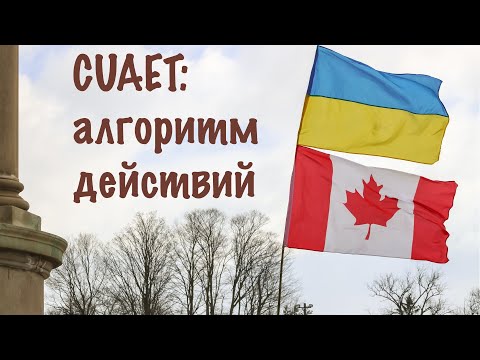 Видео: ГАЙД ПО CUAET #1 | АЛГОРИТМ ДЕЙСТВИЙ