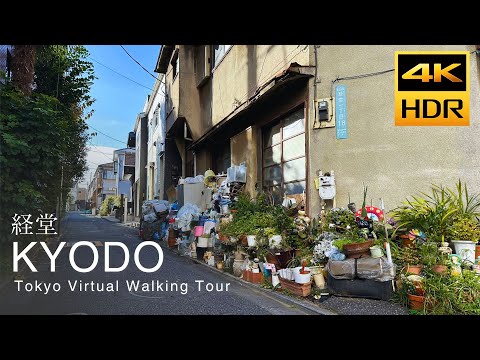 Видео: Прогулка по Кёдо в Токио, 4K HDR Япония