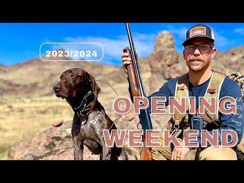 Видео: Открытие сезона охоты на кекликов – солнечное затмение – охота на немецкого короткошерстного пойн...