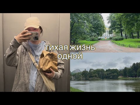 Видео: тихая жизнь одной | рабочие будни, прогулка по Петербургу