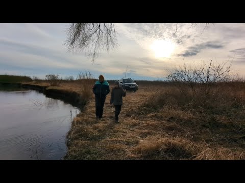 Видео: Десна в перший день 23 року. Кращий спосіб святкування новорічних свят.