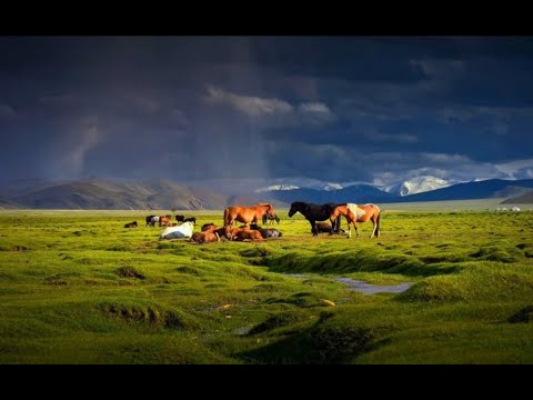 Видео: Майдантал ауылы.  2023ж.  сәуір айы.